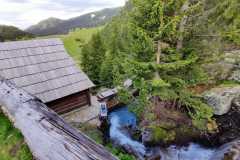 Koliba